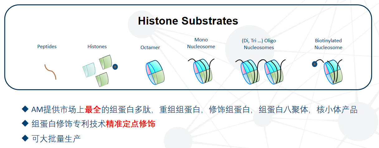 1694051402784334.png 圖片2.png