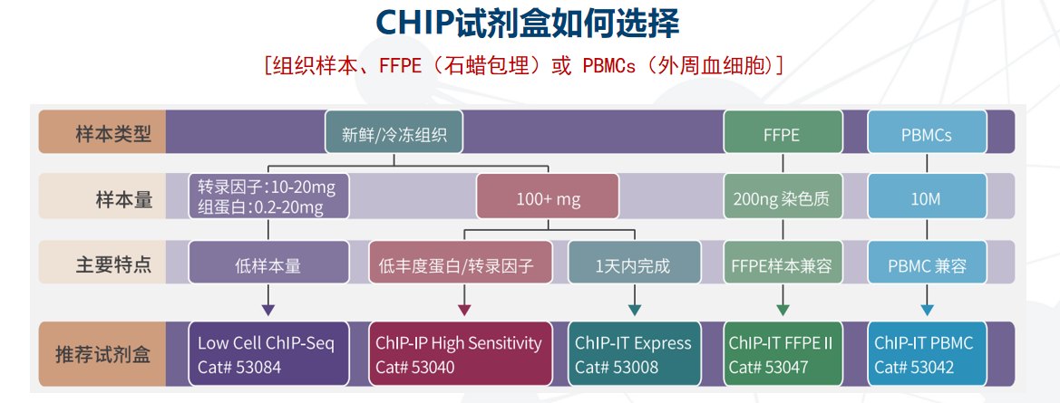 1694051473759116.png 圖片6.png
